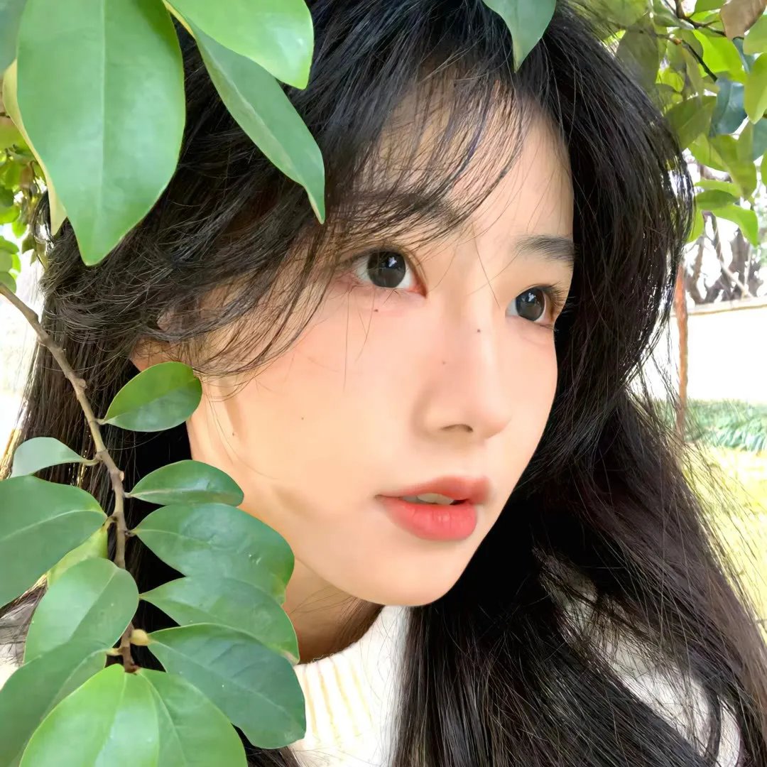 最后的荒野
